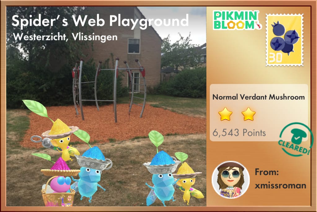 Spider's Web Playground