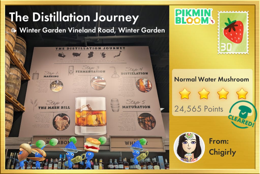 The Distillation Journey