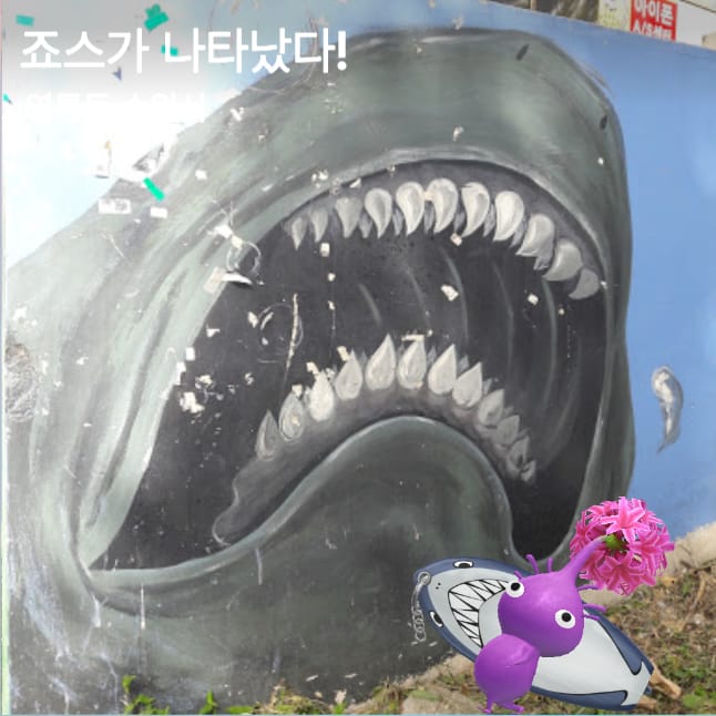 죠스가 나타났다!