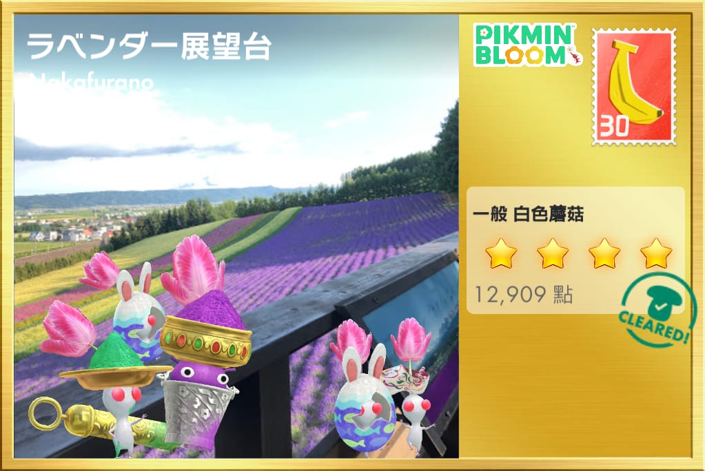 ラベンダー展望台