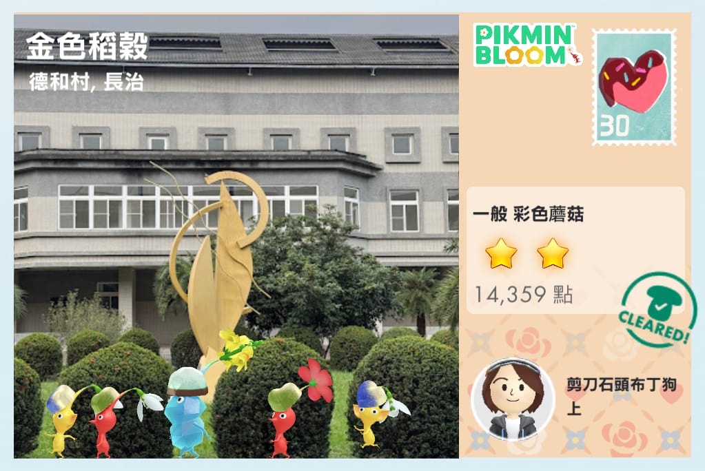 金色稻穀