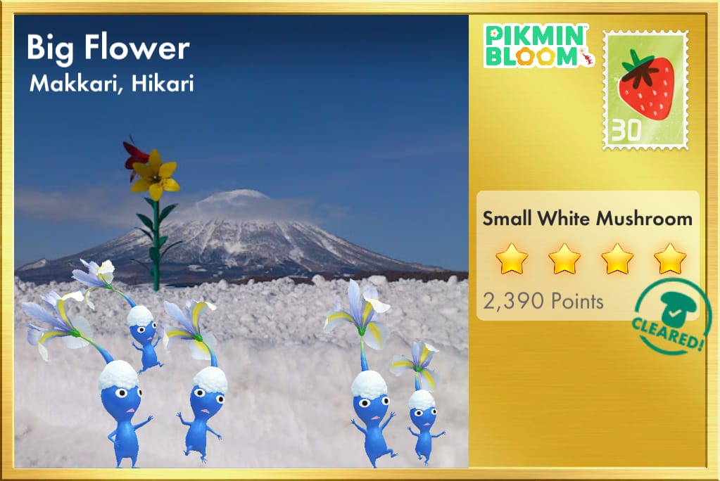 Big Flower