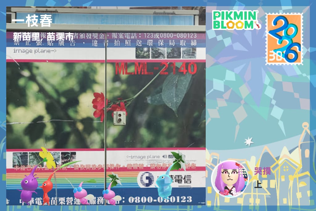 一枝春
