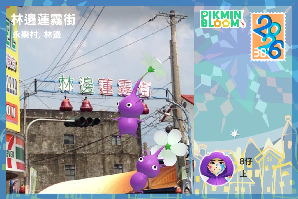林邊蓮霧街