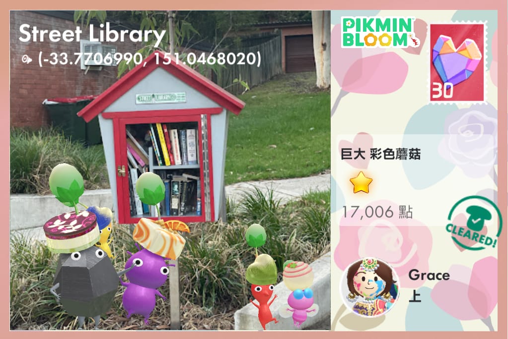 Street Library
