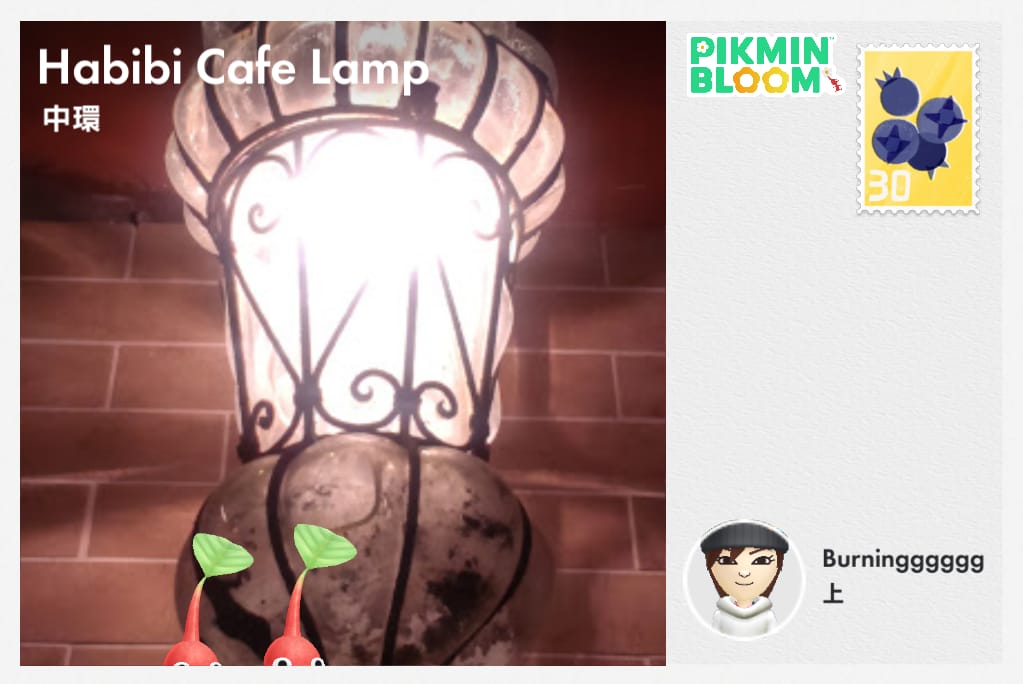 Habibi Cafe Lamp