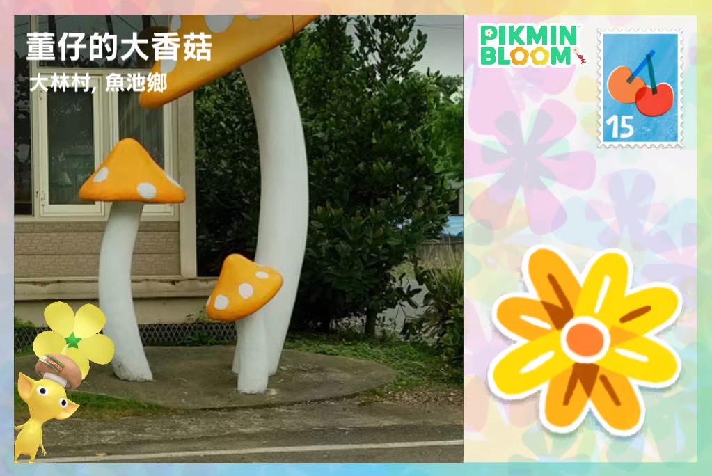 董仔的大香菇