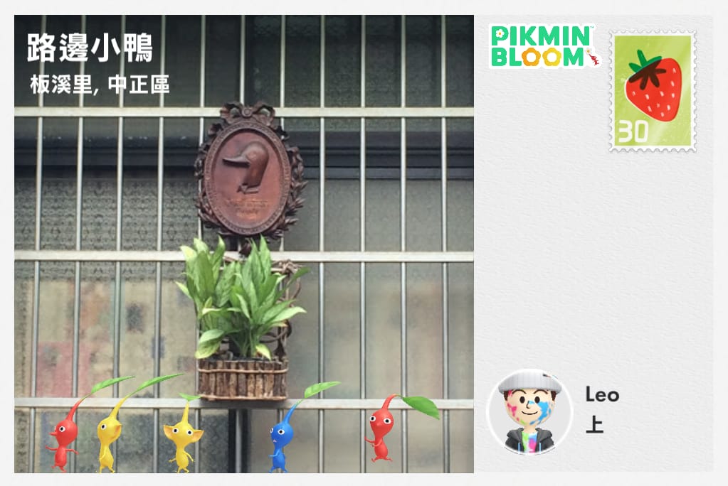 路邊小鴨