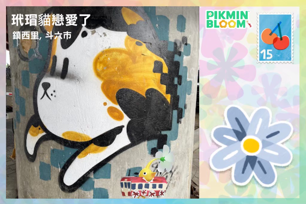 玳瑁貓戀愛了