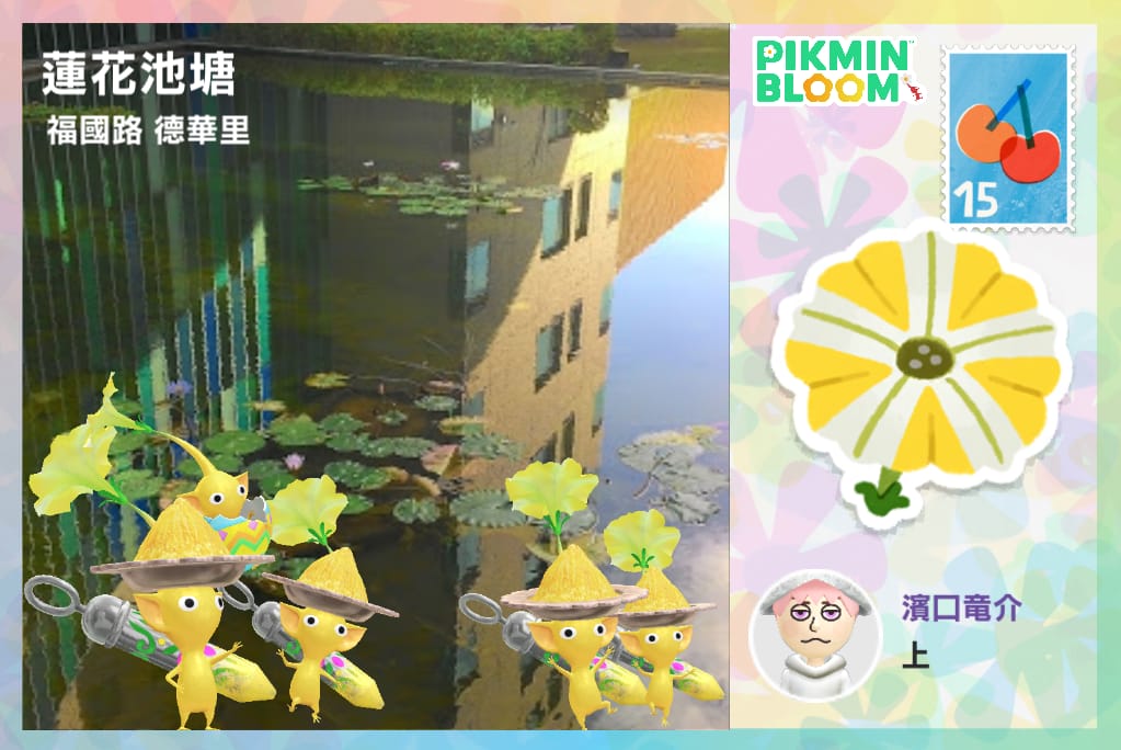 蓮花池塘