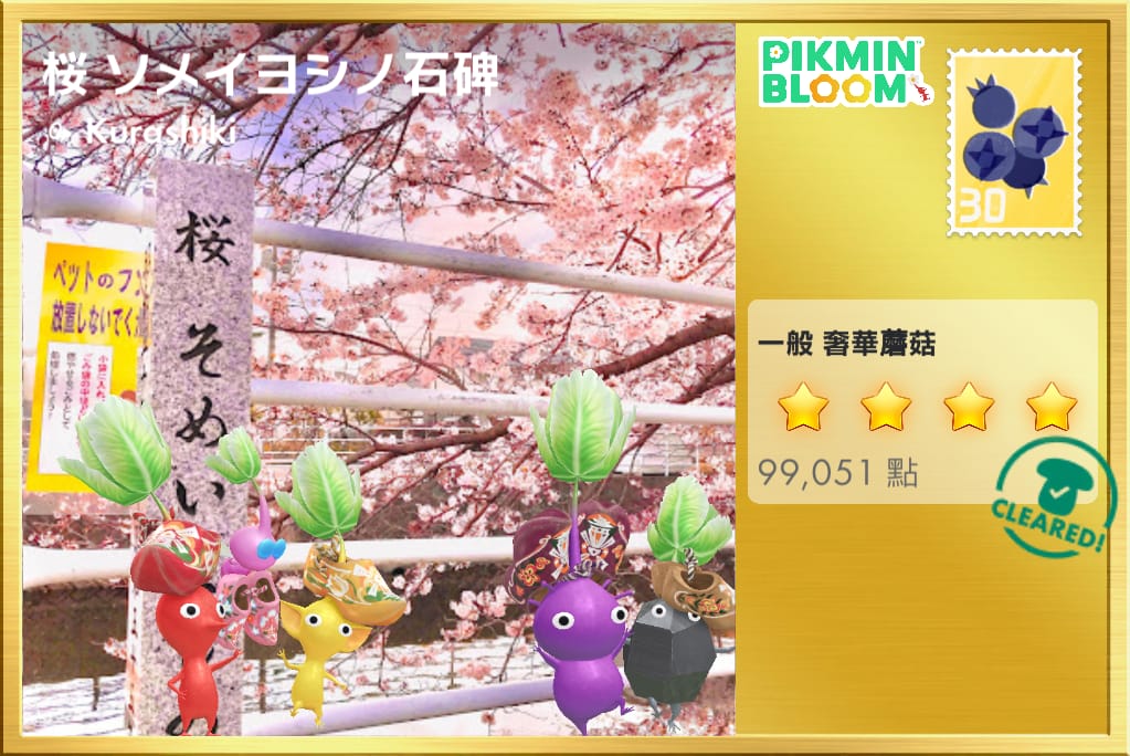 桜 ソメイヨシノ石碑