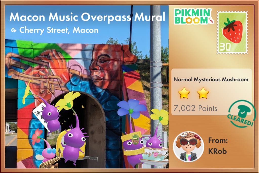 Macon Music Overpass Mural