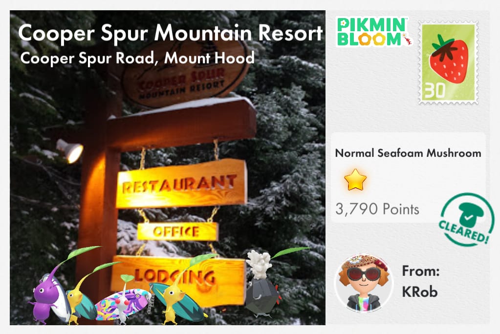 Cooper Spur Mountain Resort