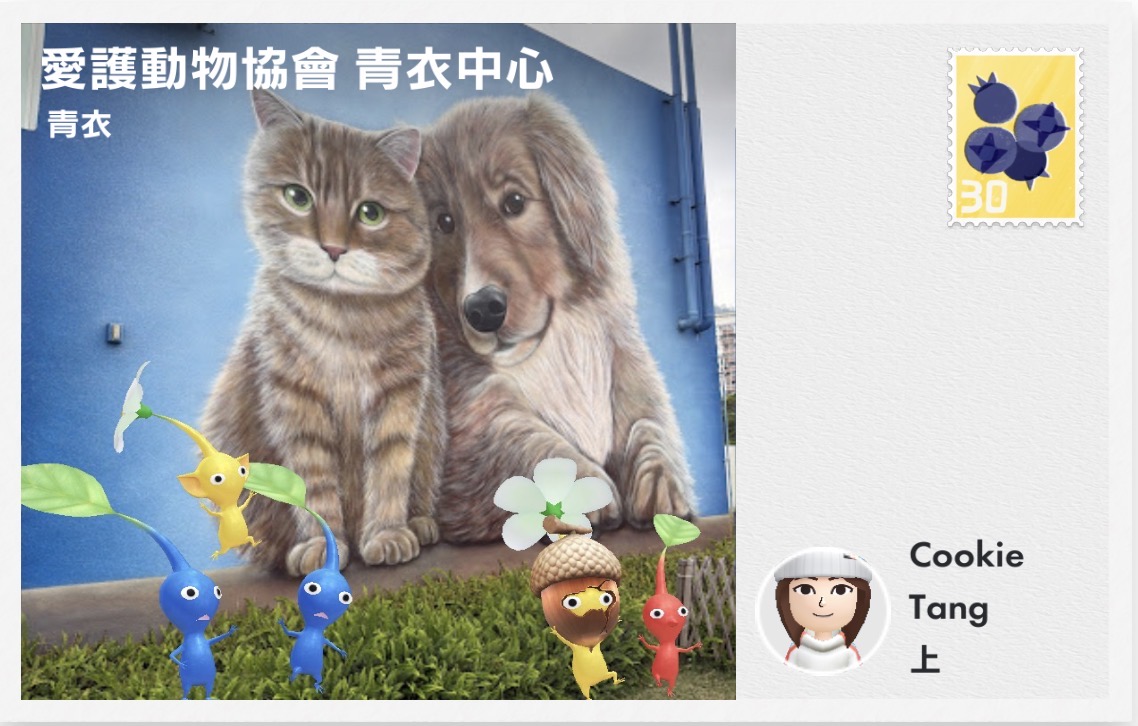 青衣愛護動物協會