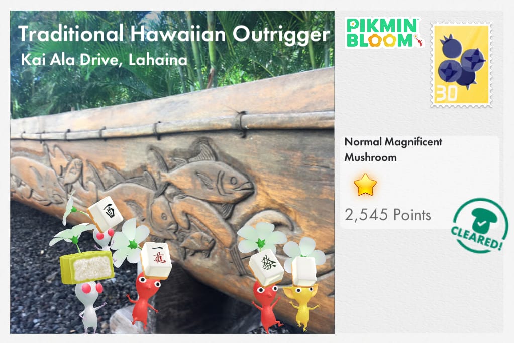 Traditional Hawaiian Outrigger