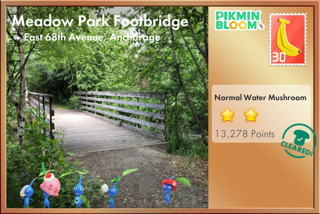 Meadow Park Footbridge