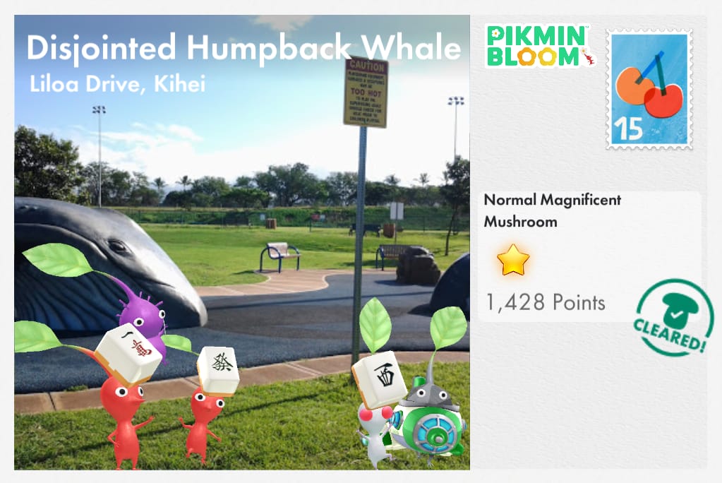 Disjointed Humpback Whale