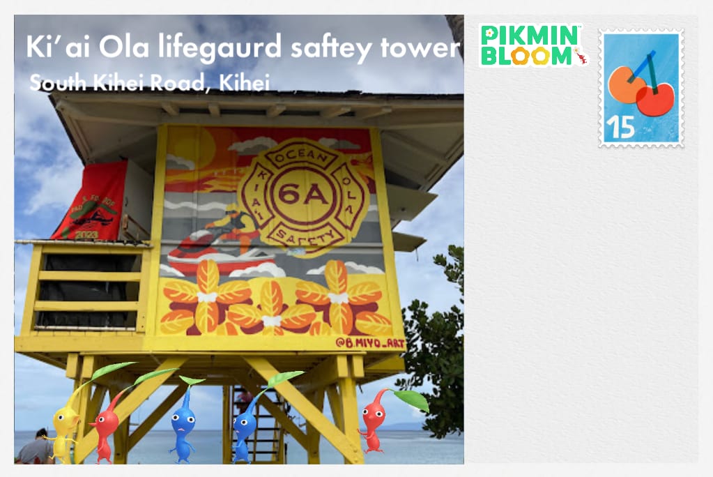 Ki'ai Ola lifegaurd saftey tower