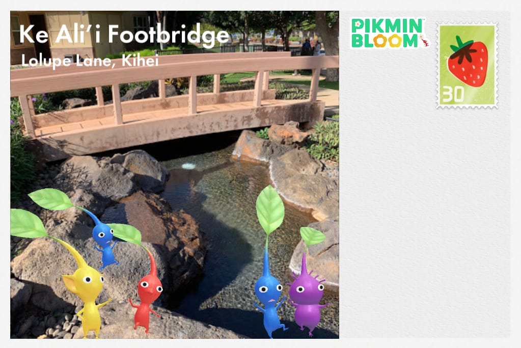 Ke Ali'i Footbridge