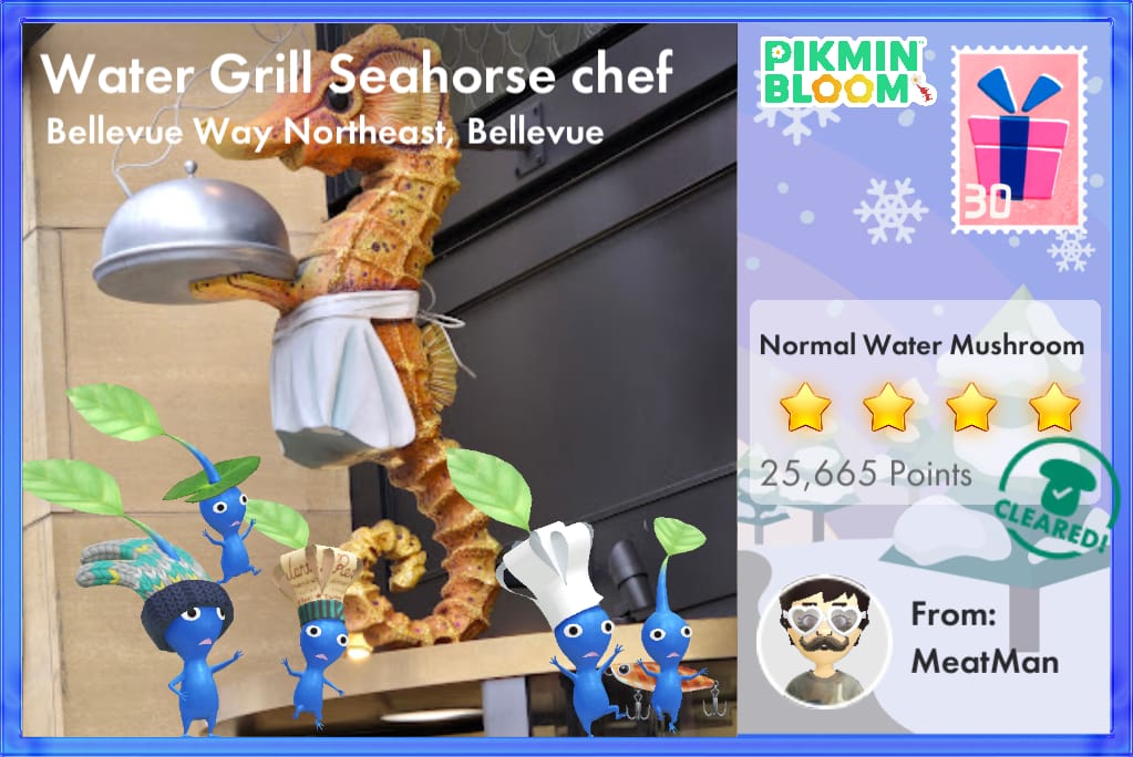 Water Grill Seahorse chef