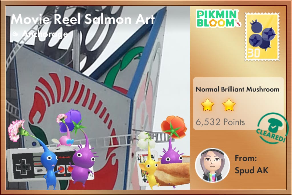 Movie Reel Salmon Art