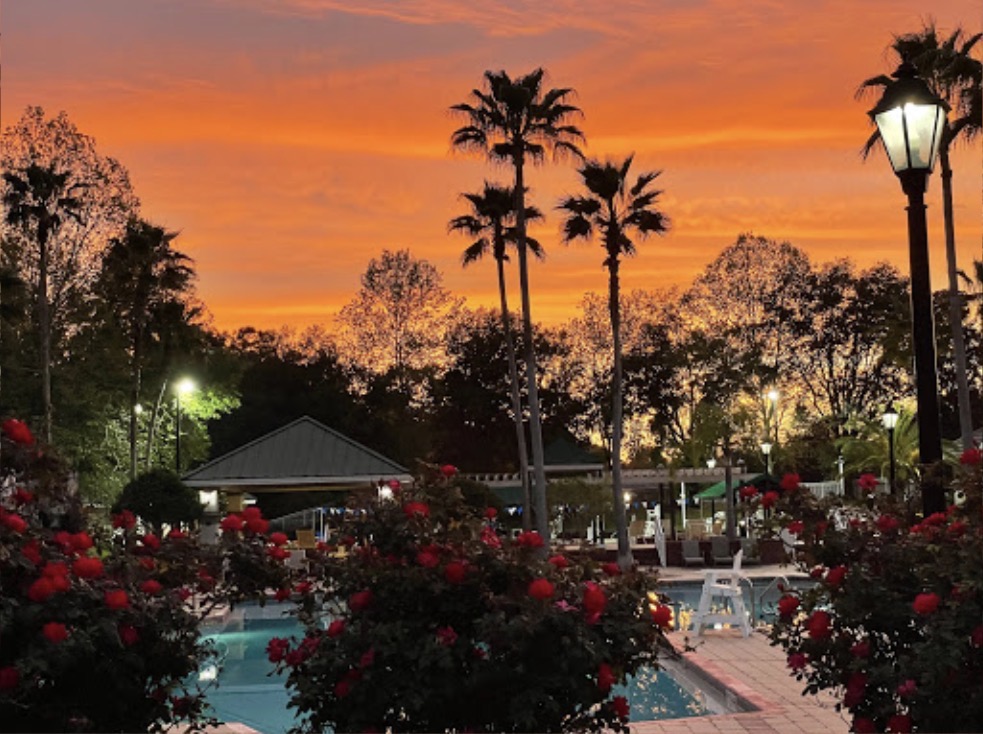 Julington Creek Aquatic Center Gazebo