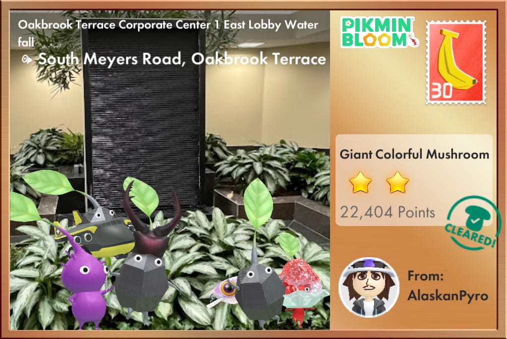 Oakbrook Terrace Corporate Center 1 East Lobby Water fall