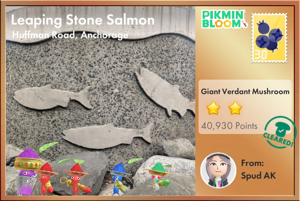 Leaping Stone Salmon