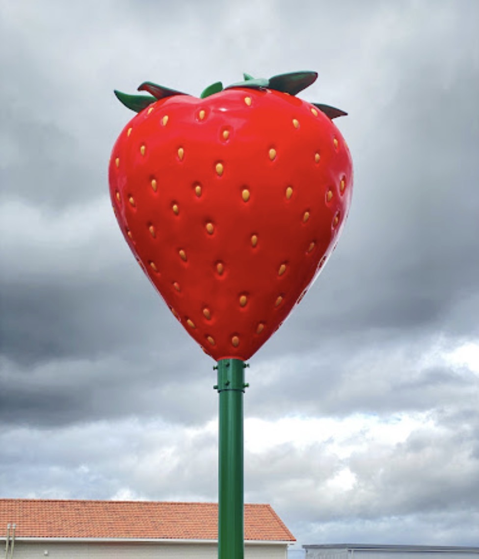 果樹花ふぁーむ