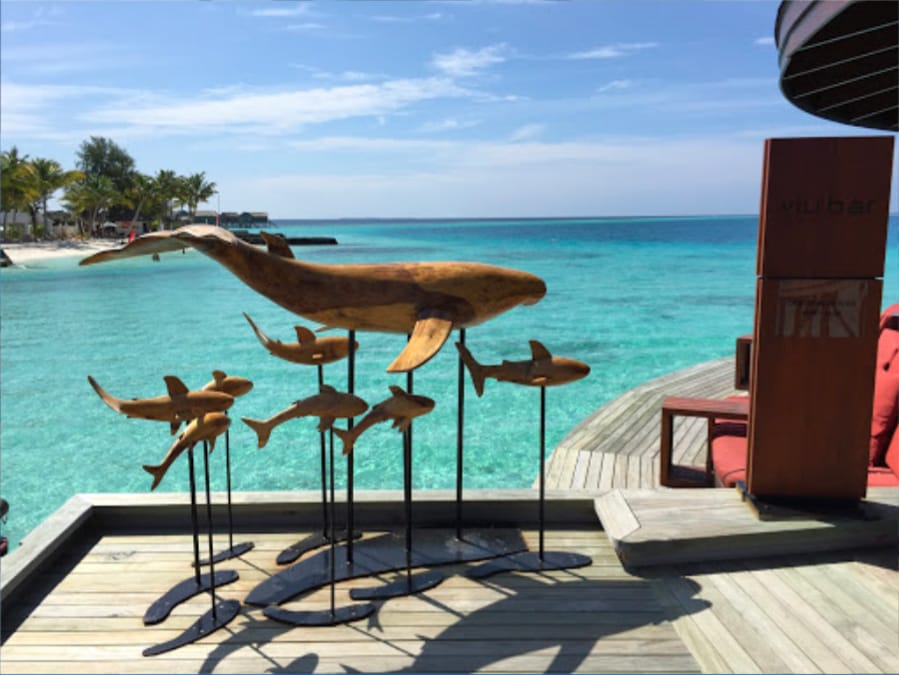 Whale, Shark & Dophins