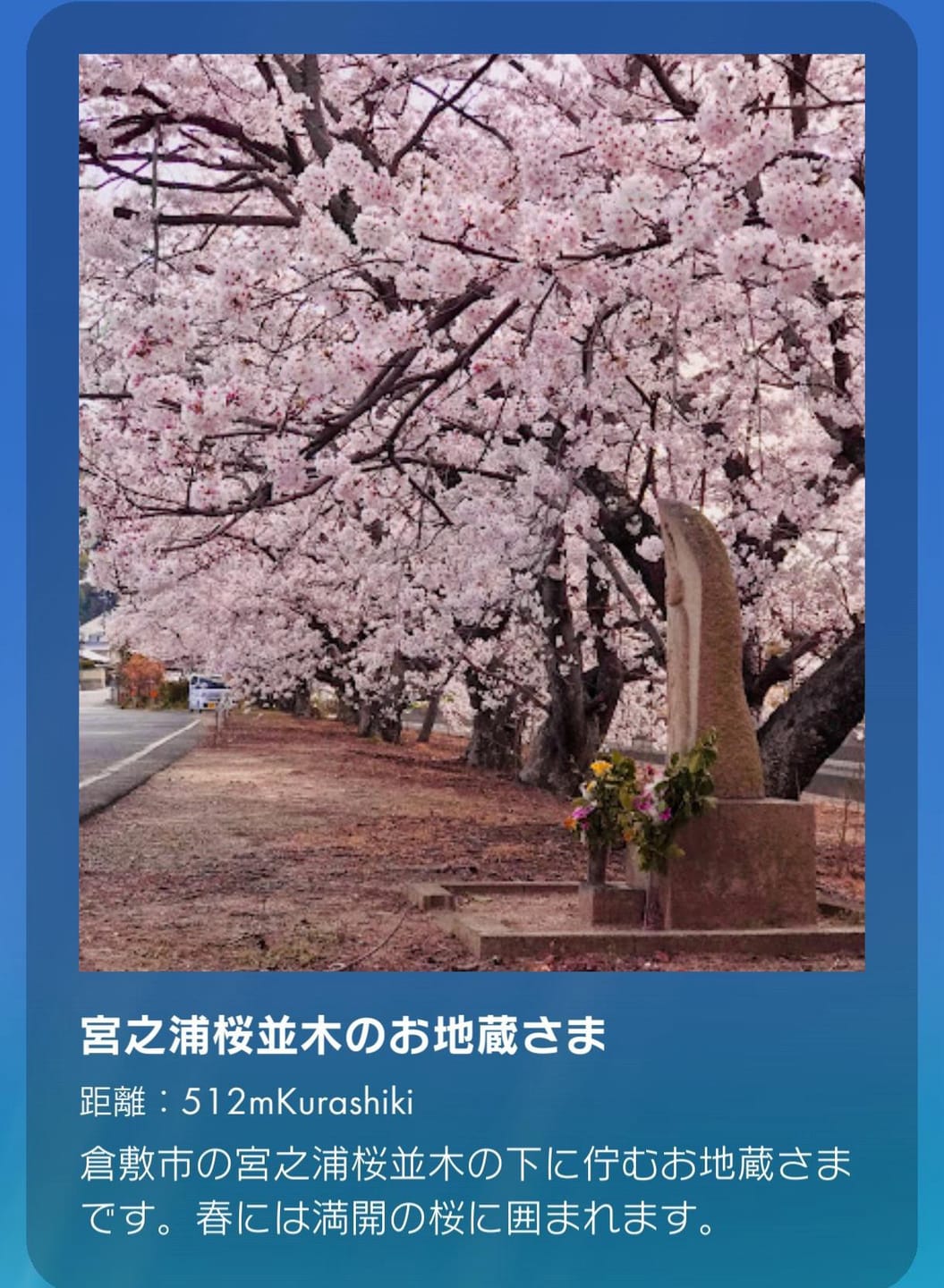 宮之浦桜並木のお地蔵さま