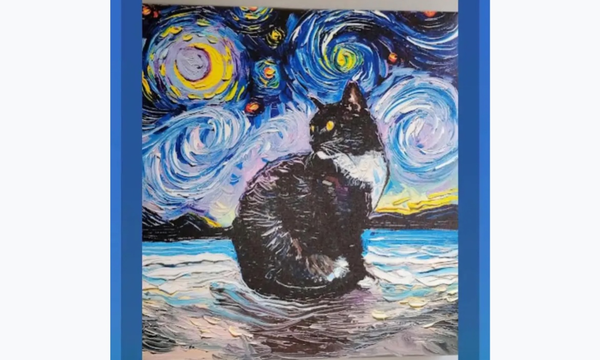 Cat Starry Night