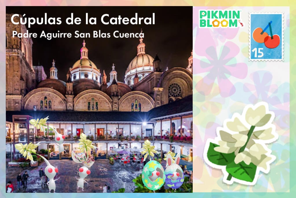 Cúpulas de la Catedral