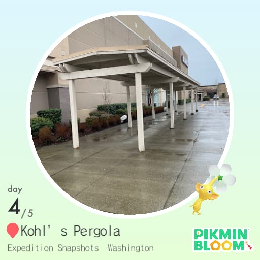 Kohl' s Pergola