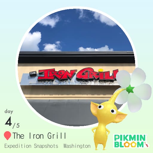 The Iron Grill