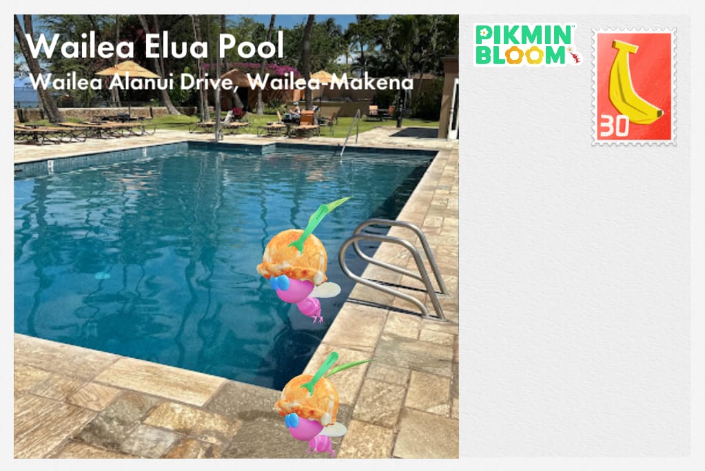 Wailea Elua Pool