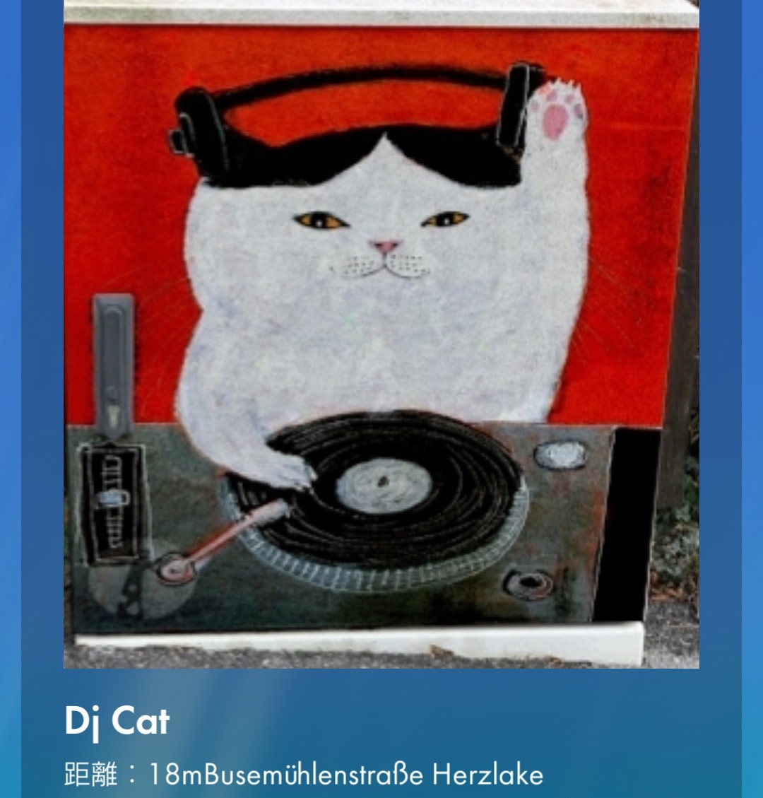 Dj cat