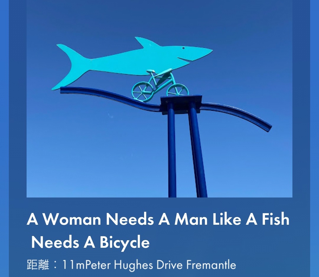 A woman needs a man like a fish needs a bicycle