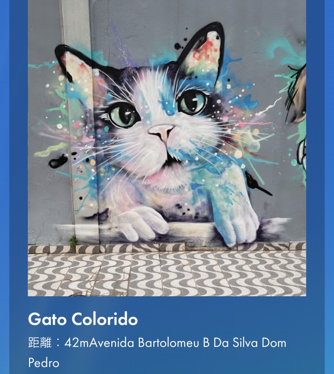 Gato Colorido