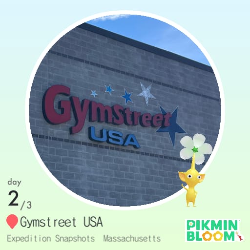 Gymstreet USA