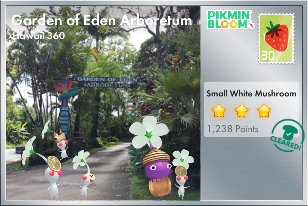 Garden of Eden Arboretum