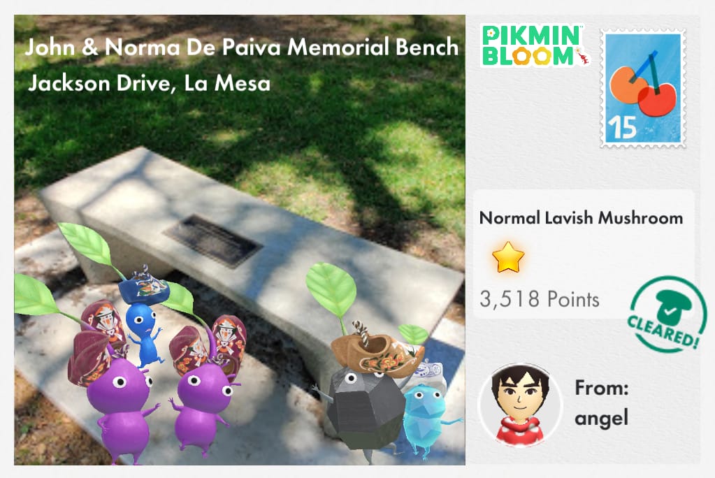 John & Norma De Paiva Memorial Bench
