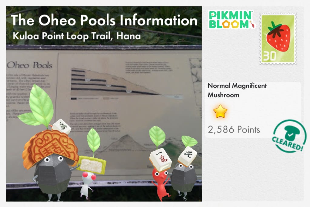 The Oheo Pools Information