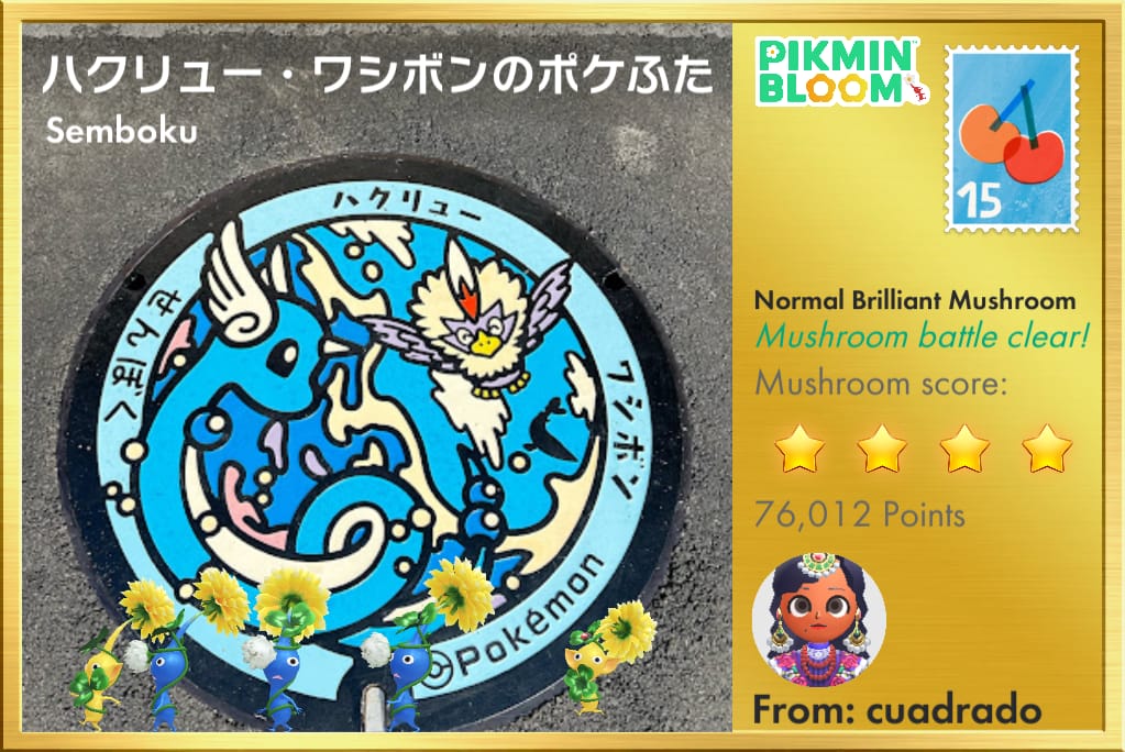 ハクリュー・ワシボンのポケふた