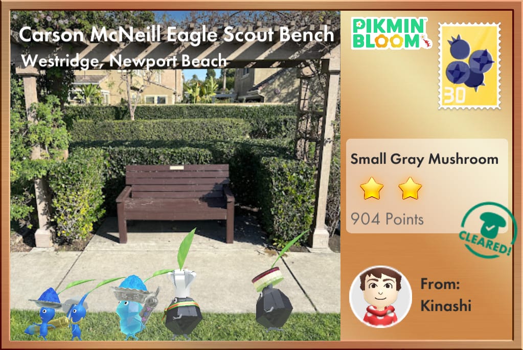 Carson McNeill Eagle Scout Bench