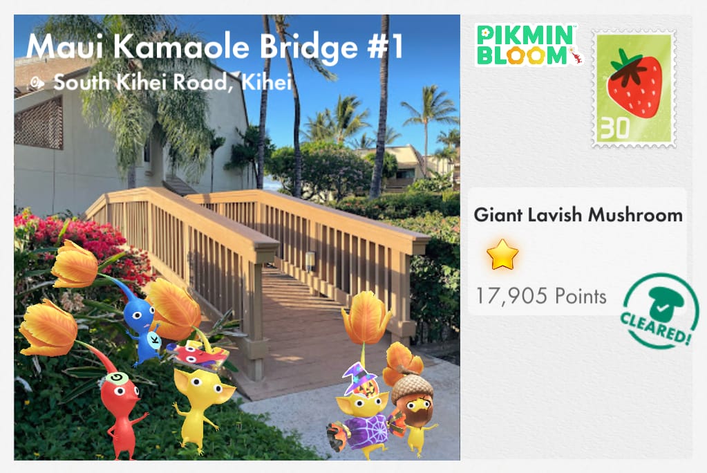 Maui Kamaole Bridge #1
