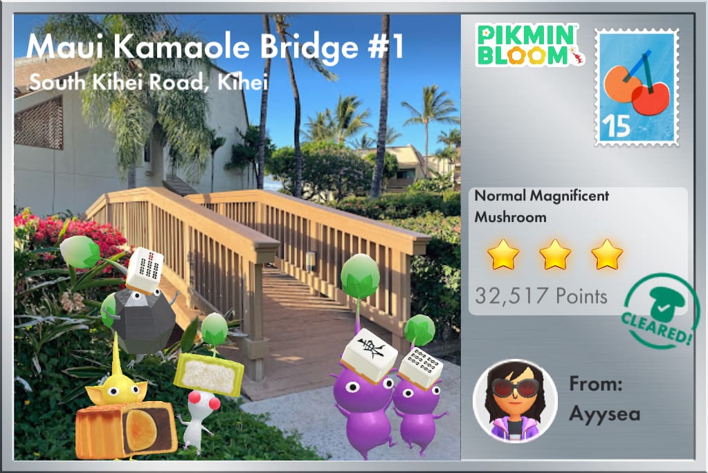Maui Kamaole Bridge #1
