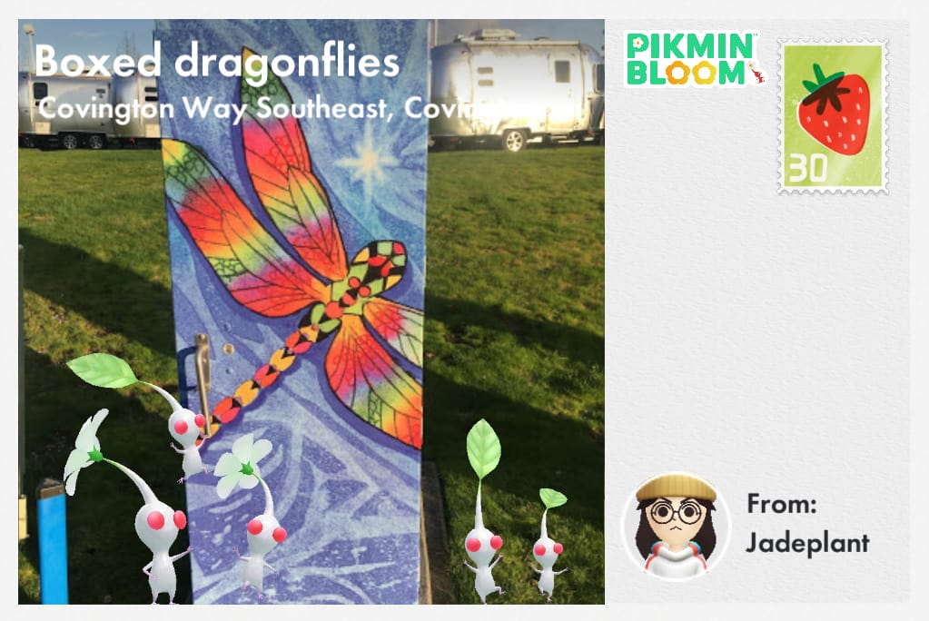 Boxed dragonflies