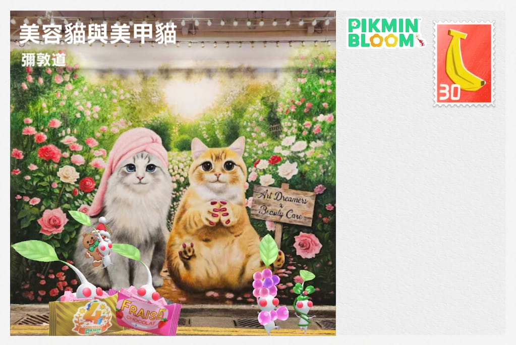 美容貓與美甲貓