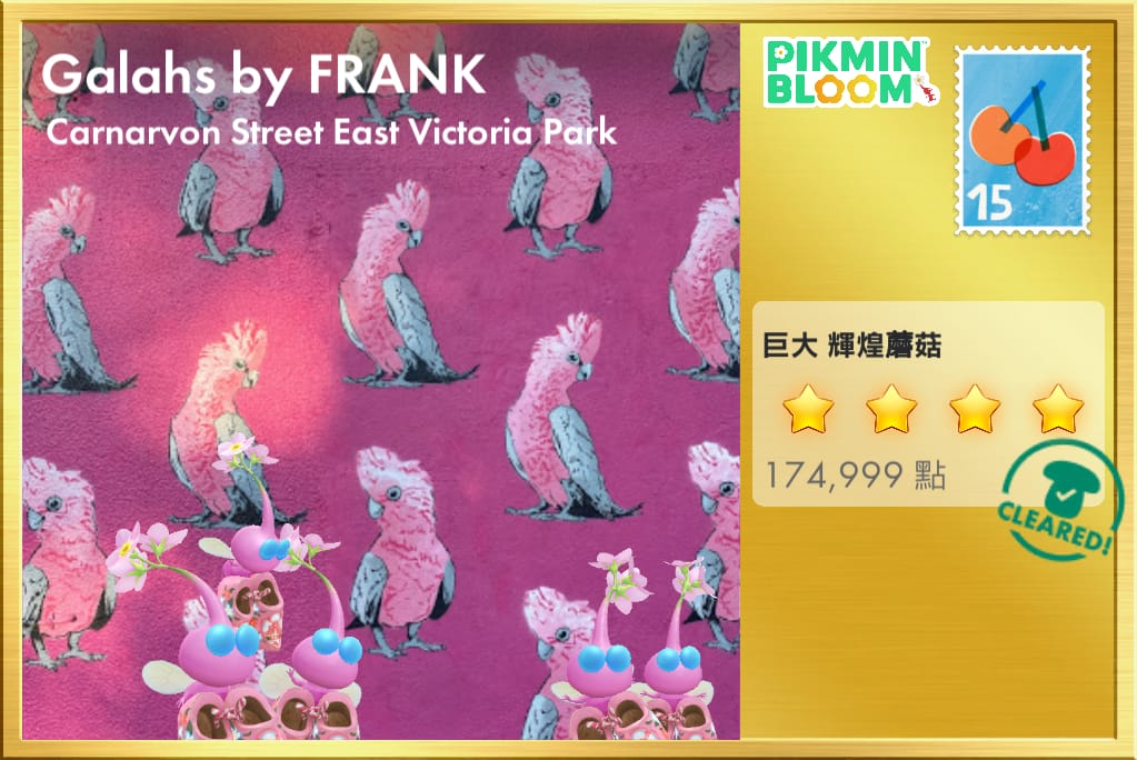 Galahs by FRANK